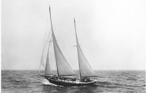 MOBY DICK