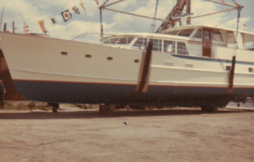 ALBATROSS