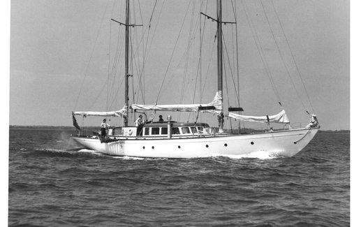 BOSUN BIRD