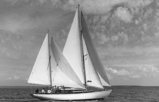 SHELMAR